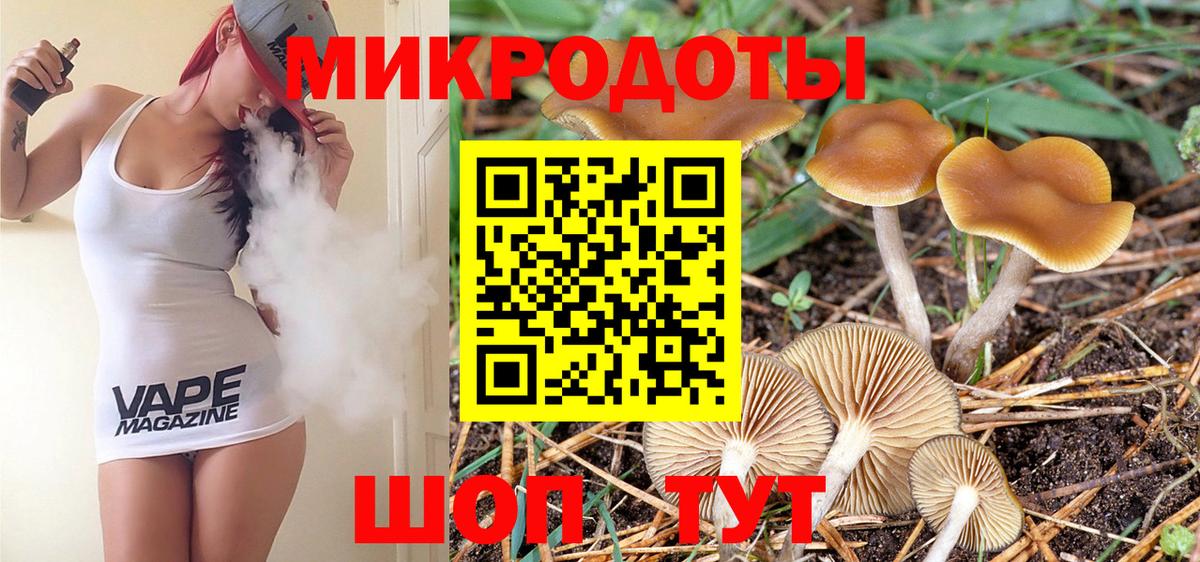Куйбышев  Псилоцибиновые грибы мухоморы  Вход с VPN 
