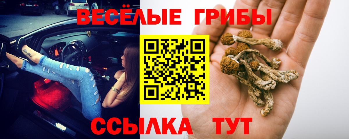 Псилоцибиновые грибы MAGIC MUSHROOMS Куйбышев
